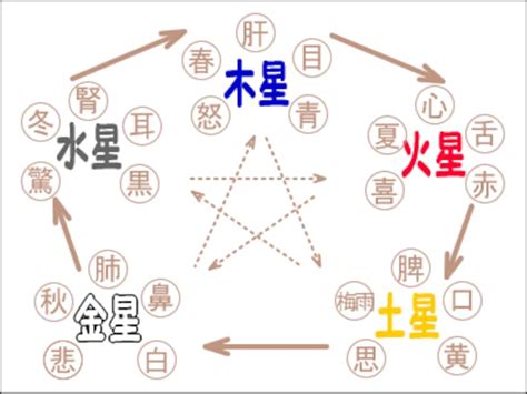 火日金水|木火土金水で性格診断？生まれた年で体質や病気はわ。